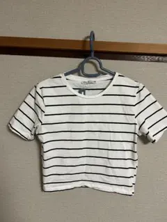 ZARA 半袖 Tシャツ　Mサイズのサムネイル