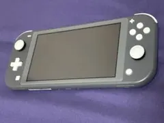 Nintendo Switch Lite 本体 グレー +カバー