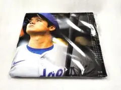 2024年大谷翔平ＭＶＰまるごとプレミアムビックタオル　匿名配送のサムネイル