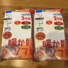 GUNZE グンゼ スパンブリーフ 前あき 2枚組 Lサイズ2セット暖かソフト