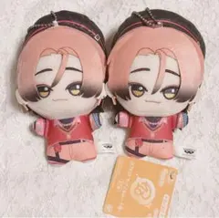 ぬいパル ハマメグリ ぬいぐるみ 夏焼千弥 千弥 hama エイトリ - メルカリ