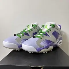 <たー様 専用> 【新品未使用】NIKE GOLF JORDAN RETRO