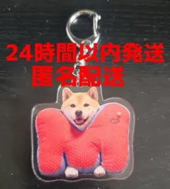 Item thumbnail for item fea42f96-ad3c-494d-a3c4-b7e377e21ab4