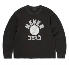 Item thumbnail for item 038cde03-3d8f-4f5d-ac6b-284a60868b91