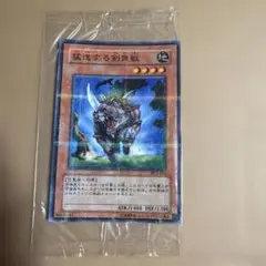遊戯王 隼の騎士 パラレル 未開封 PC - メルカリ