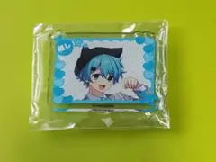 【送料無料❗】めろんぱーかー★そらねこ╱アクリルバッジ