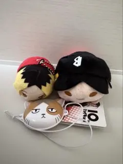 朔*様 ハイキュー！！ 孤爪 セット