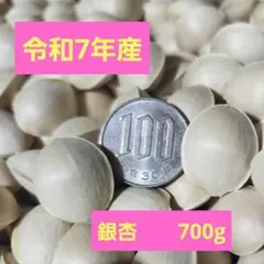 令和7年産　銀杏　訳あり　　700gのサムネイル