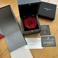 로즈 갤러리 다이아몬드 로즈 레드 프리저브드 플라워