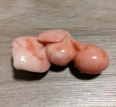 和装小物 帯留め 珊瑚 8.1g