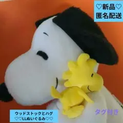 【新品/匿名配送】SNOOPYスヌーピーウッドストックと仲良くハグLLぬいぐるみのサムネイル
