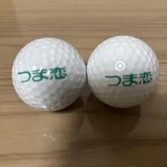 【貴重】つま恋ロゴ入りゴルフボール 2個セット