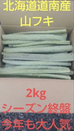 シーズン終盤‼️北海道道南産　山フキ2kg 代々続く農家から発送のサムネイル