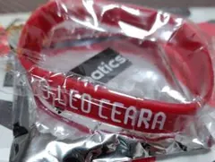 鹿島アントラーズ レオセアラ プレイヤーズラバーバンド