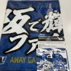 日本ハムファイターズ　ビジター応援データオル(大阪)、トレカ　田中正義　金村尚真