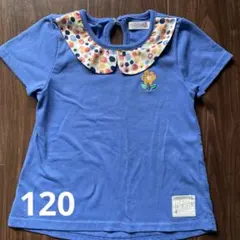 futafuta120 ブルー半袖Tシャツ
