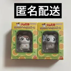 とっとこハム太郎 どーる ハム太郎 リボンちゃん