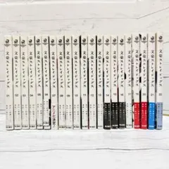 文豪ストレイドッグス 1〜22巻セット（※18巻のみ欠品）文スト まとめ売り