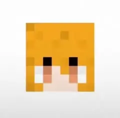 Sara 様専用ページ