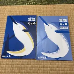 2026年最新】予習シリーズ 6年の人気アイテム - メルカリ