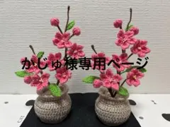 かじゅ様専用 桃の花•鉢植え•枯れない花•あみぐるみ•毛糸フラワー•ひな祭り飾り
