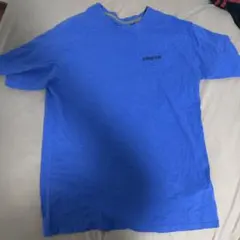 Patagonia Tシャツ ブルー