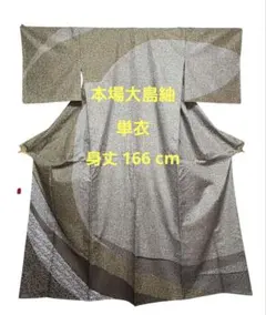【極美品】単衣 訪問着 本場大島紬 身丈166 染大島 正絹 夏物 さが美のサムネイル