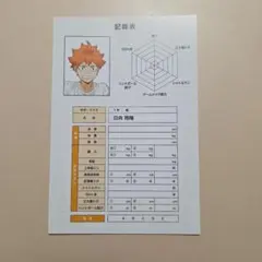 ハイキュー!! 日向翔陽 記録表　ポストカード