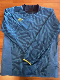 Item thumbnail for item 24d4b8ee-6b87-42e9-b349-e43463e0cbd9