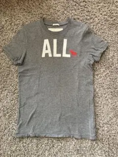 Abercrombie & Fitch グレー Tシャツ S