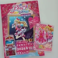 9991☆アイカツ！オフィシャルバインダー スイングロック アイカツ 音