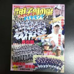 ホームラン 7月号 大谷翔平× 藤浪晋太郎 2012年 高校野球 - メルカリ
