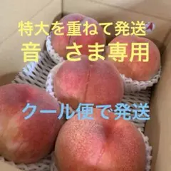 山梨の木のてっぺん桃 特大を6個とお手頃サイズ 重ねて発送 人気商品 