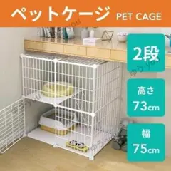 Item thumbnail for item 28761a54-a9c6-44b2-9141-dbd41ce35abf