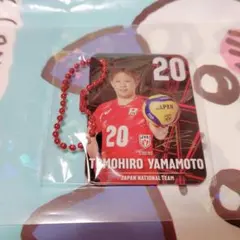 バレーボール男子日本代表 山本智大 メタルチャーム　ガチャ