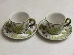 Villeroy&Boch カップ&ソーサー Forsa