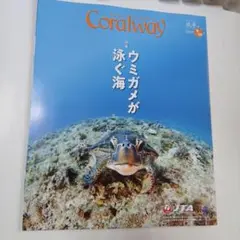 Coralway 2025年9.10号