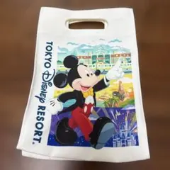 ⭐️東京ディズニーリゾート⭐️ バッグ ミッキー ミニー
