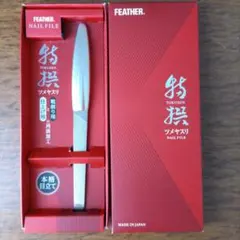 Item thumbnail for item 7b70fcf5-b8cc-4074-a4a0-6824b91c8675