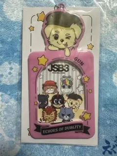 岩田剛典 ロッキー フォトカードケース EOD