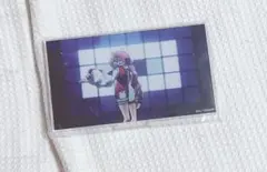 ONE PIECE FILM RED 場面写アクリルスタンド　映画　ウタ　劇場版