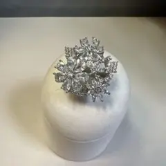 Item thumbnail for item c10e7501-c90e-4eb9-9a11-3c743c544044