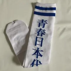 新品未使用 新しい学校のリーダーズ 公式ソックス 靴下　AG! グッズのサムネイル