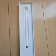 【ジャンク】第一世代 Apple Pencil ホワイト 充電アダプタ付き