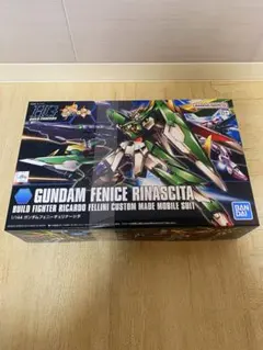 HGBFガンプラまとめ売り16体セット　ギャラクシー、フェニーチェ、ディナイアル HGBFガンプラまとめ売り16体セット ギャラクシー、フェニーチェ