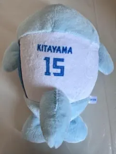 ファイターズ 沖縄キャンプ くじ イルカ 達孝太 - メルカリ