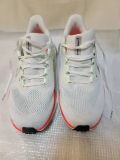 NIKE Air Zoom Pegasus 41