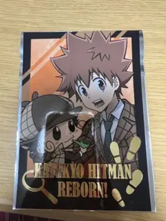 家庭教師ヒットマンREBORN トレーディング箔押しプロマイド 沢田綱吉