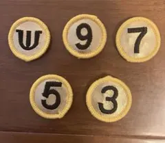 Item thumbnail for item 4fc00541-c92c-4797-8281-4933280d4f3d