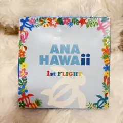 値引きしました❣️[未使用]ANA FLYING HONU フライトタグ3本セットのサムネイル